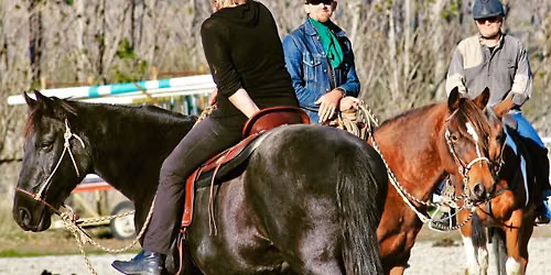 Horsemanship Clinic - Christchurch, New Zealand