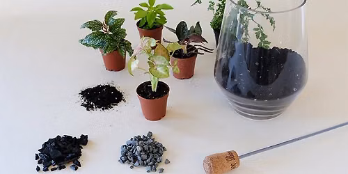 Terrarium Planting Workshop
