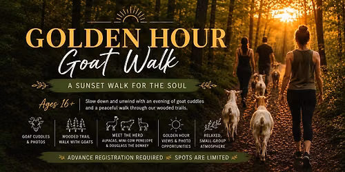 Golden Hour Goat Walk and Cuddle