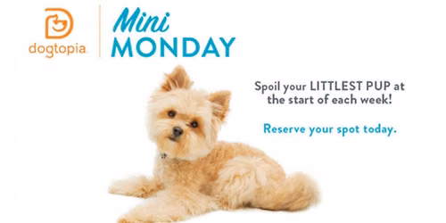 Mini Monday