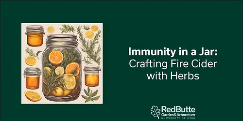 Immunity in a Jar: Crafting Fire Cider with Herbs