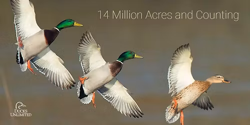 Kitsap Ducks Unlimited 20th Annual Fun Shoot