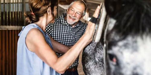 Discover Horses: hands-on horsemanship for all ages
