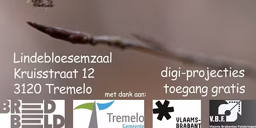 11e fototentoonstelling Fotoclub Damiaan 22 & 23 november 2025