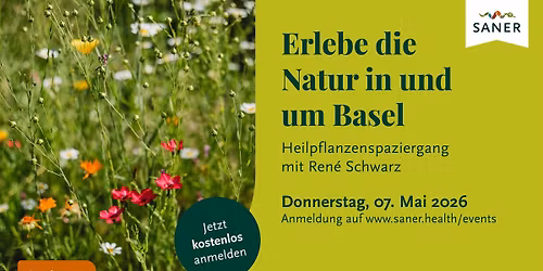 Heilpflanzenspaziergang in Basel