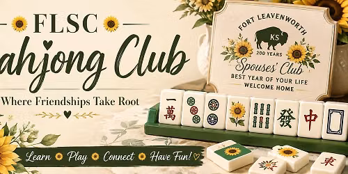 Mahjong for Beginners 