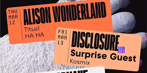 Igloofest with Deadmau5