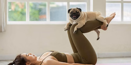 Small Dog Yoga
