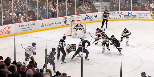 Birmingham Bulls at Pensacola Ice Flyers at Pensacola Bay Center