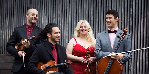 Vidari String Quartet