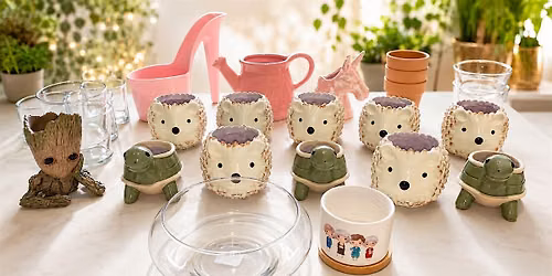 LIVE SUCCULENTS! Fairy Garden Pick Your Planter Class