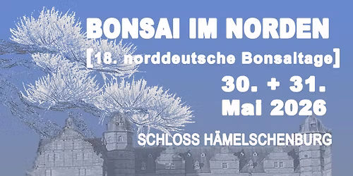 BIN *26 - BONSAI IM NORDEN