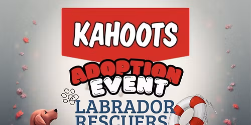 Labrador Rescuers Adoptions at KAHOOTS Poway