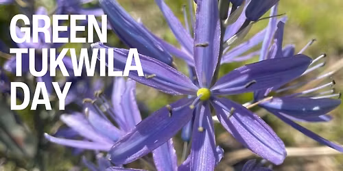 Green Tukwila Day, The Great Camas Planting 