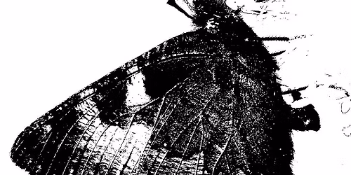William Wyld: The Butterfly Bush Poetry Pamphlet Launch