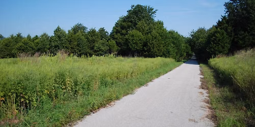 Week #11 Training Run - Frisco Highline Trail \/ Willard Middle