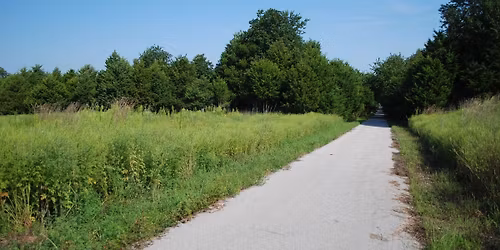 Week #11 Training Run - Frisco Highline Trail \/ Willard Middle