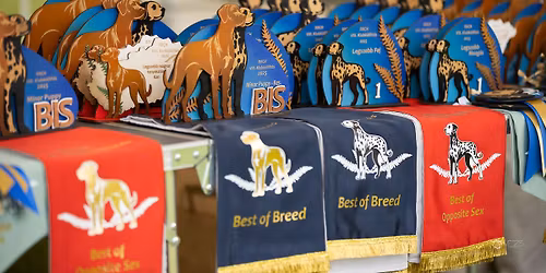 9. RRCH Clubshow & 7. RRCH Specialty CAC \/10th Jubilee of the Rhodesian Ridgeback Club Hungary