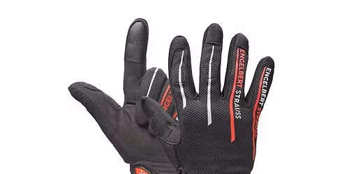 Sierra and Strauss at Walt Disney Concert Hall