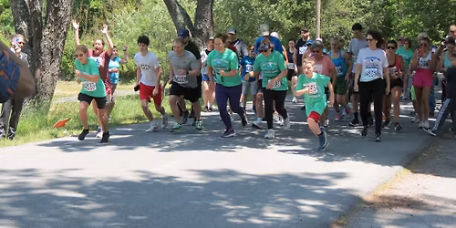 Hawley Spring Run: A Race for Mental Wellness (Formerly The Tyler P. Whitman Race Against Suicide)