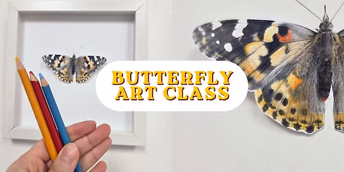 Butterfly Art Class: Painted Lady Butterfly