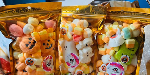 Clearwater Casino Christmas Bazaar