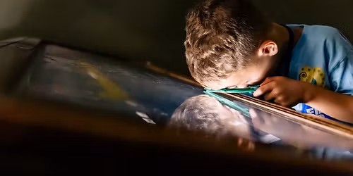 Itty Bitty Investigators: After the Age of Dinos Ages 5-6