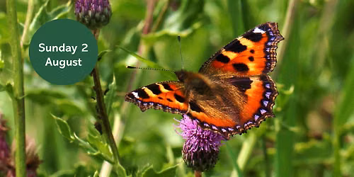 Love Parks Week: Butterfly Walk