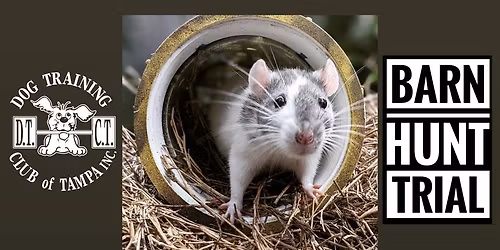 DTCT Barn Hunt Trial