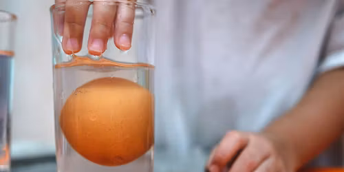 STEM After School: Eggsperiment (8-12 years)