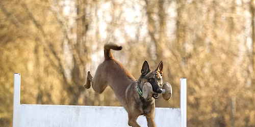 Herbstpr\u00fcfung 2025