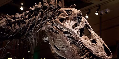 Priceless Experience at NHMLA