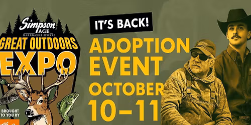 Simpsons Outdoor Expo