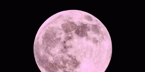 Chasing the Pink Moon: Sunset-to-Moonrise Boardwalk Walk \ud83e\udd7e\ud83c\udf05\ud83c\udf15\ud83d\udc97