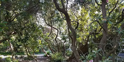 Taking the Edge Off: Pruning for Natural Areas Workshop (in-person)
