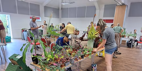 Bournemouth, Christchurch and Poole Plant Community Swap and Sale