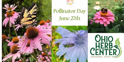 Pollinator Day Celebration