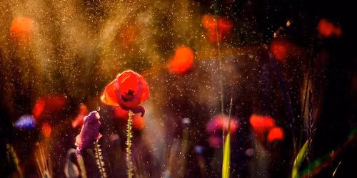 SWEAT OUR PRAYERS \ud83c\udf1f\u2728