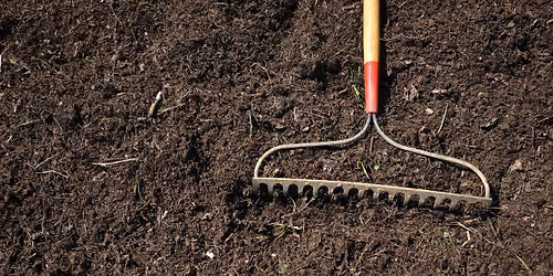 Organic Gardening Workshop