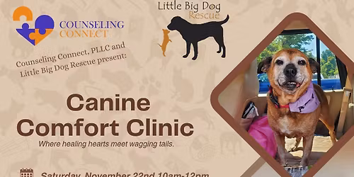 Canine Comfort Clinic
