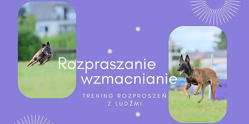 Rozpraszanie - wzmacnianie - GRUDZIE\u0143 2025 (1\/2)