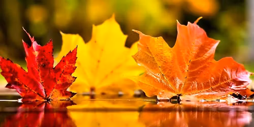 Sv\u00e1te\u010dn\u00ed zkou\u0161ky trochu jinak + A0