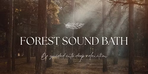 Sound Bath in the Wyre Forest