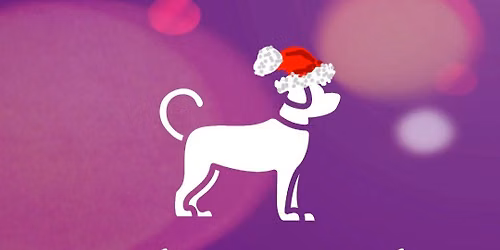 Tynka's Tales Dog Club Christmas Indoor Companion Dog Show 