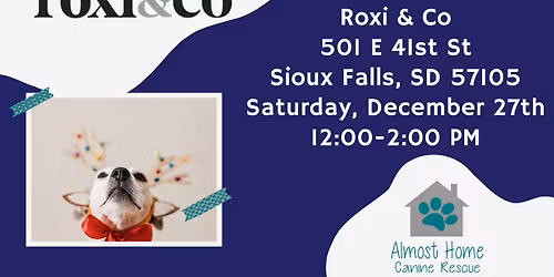 Meet & Greet: Roxi & Co.