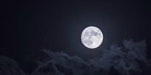 Lunar Nectar: A Gemini Awakening