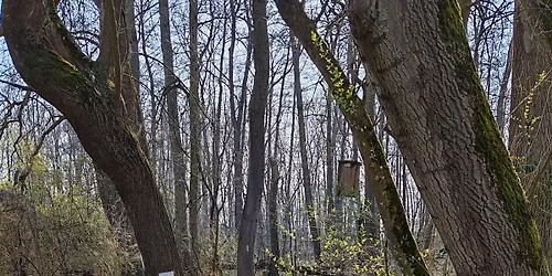 Szem\u00e9tszed\u00e9s az \u00f3csai l\u00e1perd\u0151ben \u00e9s a G\u00f3ly\u00e1s k\u00f6r\u00f6n