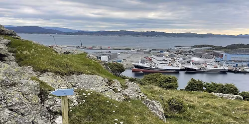 Camp Rund\u00f8ya 2026