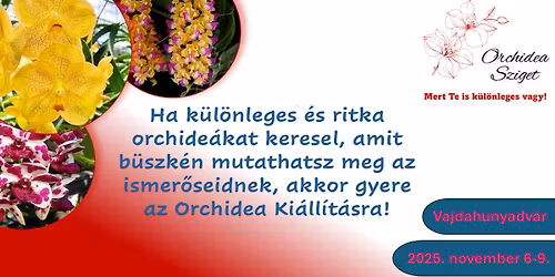 Orchidea- \u00e9s Brom\u00e9lia Ki\u00e1ll\u00edt\u00e1s - Orchidea Sziget kitelep\u00fcl\u00e9s