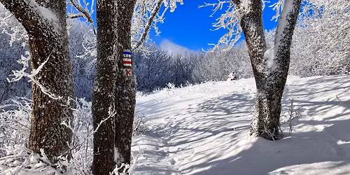 B\u00f6rzs\u00f6ny Vulk\u00e1nt\u00fara \u2013 2025